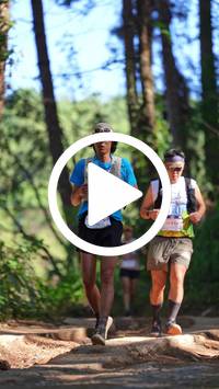 BIB:  <button type="button" onclick="openModal(26787834)" class="btn btn-primary btn-sm float-right" data-toggle="modal" data-target=".modal-high-quality">
                <i class="fa fa-download"></i> Download
                </button>